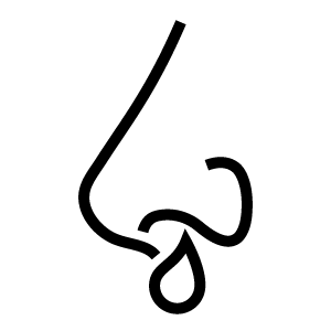 allergy icon