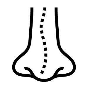 sinus condition icon
